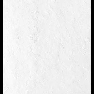 Meet your Posher, Elsie